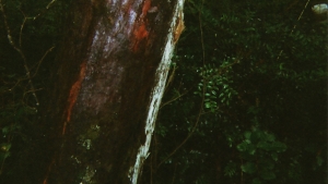 https://www.kalialenaghan.com/files/gimgs/th-12_img 8.jpg